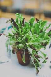 James Melia Photography_6610