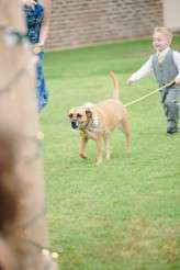 Obscure Movie Wedding_Two birds 092a