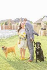 Obscure Movie Wedding_Two birds 384h