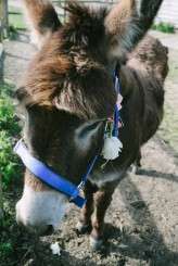 RUSTIC DIY WEDDING JOANNA BROWN-95