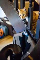 Tux and Tales Photography Rock and Roll Bride Vintage Tattoo Bride Cartoon Theme Wedding_2423