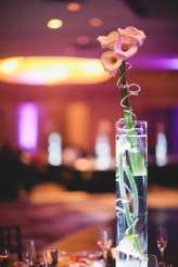 letsfrolictogether_CAWed_0277