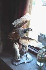 star-inn-20s-grunge-sparkle-pub-wedding-sally-t-photography-414