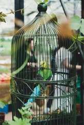 Pieter & Noortje – Modern Hearts_044