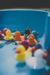 James Melia Photography_7670