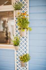 Jo & Steve zipwire_michelle waspe photography-561