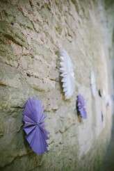 SandraPalmPhotography184