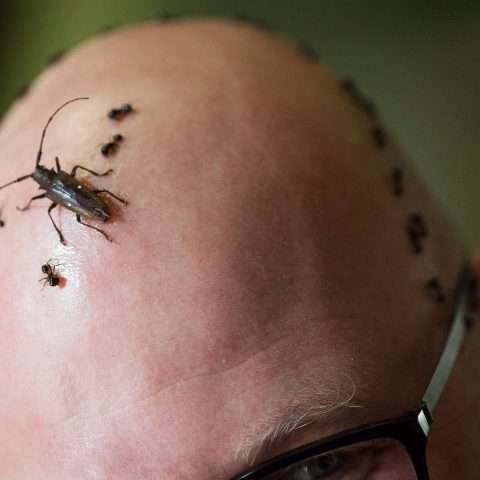 TessaMatt_MarkOsbornePhotography_0029