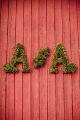 steampunk-wedding-adam&amanda-2bridesphotography-183