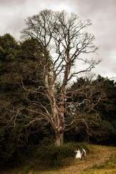 Abby & Liam Village Hall Colourful Wedding – Miki Photography-189