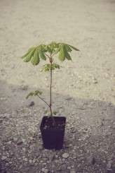 Elita+Tadas_LinaAidukePhoto 086