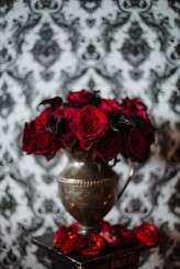 Milton_Photography-Bruce_Cassaro-61