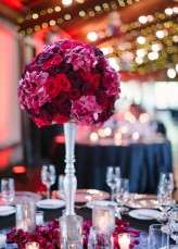 Milton_Photography-Bruce_Cassaro-63