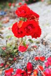 eyes wide shut_wonderfulife productions_03