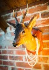 James Grist Photography 190