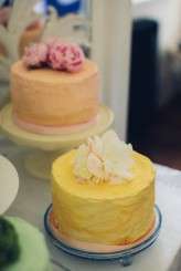 Somerset-Wedding-Photography-Caro-Hutchings-307