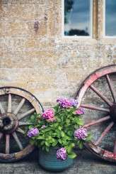 Somerset-Wedding-Photography-Caro-Hutchings-488