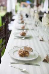 View More: http://jvephoto.pass.us/rocknrollbride