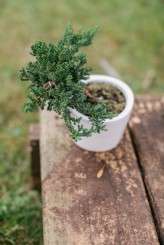 View More: http://jvephoto.pass.us/rocknrollbride