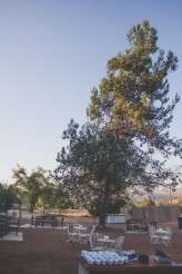 אמנון ומור חתונה בנאות קדומים