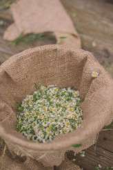 Lauren-Dean-Wedding22