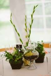 PunkRockBerkshires_ZacXWolf-280