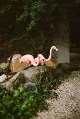 PunkRockBerkshires_ZacXWolf-3