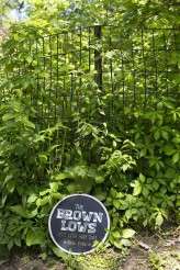 nyc_elopement_dustincantrell_019