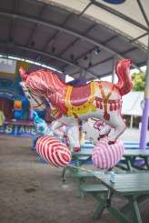 Carnival themed wedding_Photography by Coralee and Alex (107 of 325)