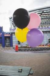 Carnival themed wedding_Photography by Coralee and Alex (110 of 325)