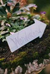 CatCraigFeature-0093