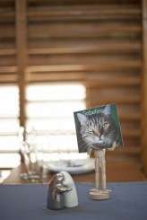 DIY Hometown Highschool_Adrian Sields_141