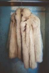 DetroitAbandonedChurch_CarynNoel_025