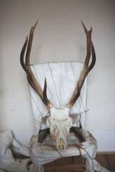 Gothic Bride Shoot Devlin Photos