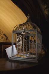 GothicWedding_FstopPoetry436