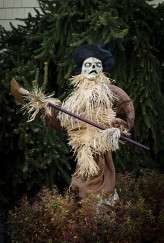 Halloween-Zombie-070