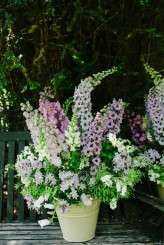 Joanna Brown 2013 BOOM -4