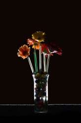 RainbowTheme_LindseyRickertPhotography_138a