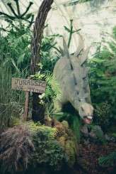 San-Francisco_Fall_Vintage_Wedding-Kien_Lam_Photography-420