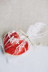 nebraska-bbq-wedding_mullersphoto-192