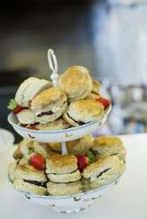 0733Bex and Scotts Country Bumpkin Wedding