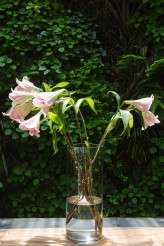 Joburg-City-Wedding-Jacki-Bruniquel-036