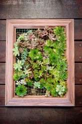 Joburg-City-Wedding-Jacki-Bruniquel-039