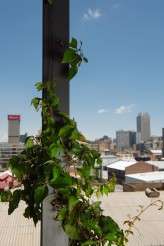 Joburg-City-Wedding-Jacki-Bruniquel-040