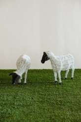 Joburg-City-Wedding-Jacki-Bruniquel-045