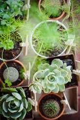 Joburg-City-Wedding-Jacki-Bruniquel-050