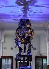 Science themed wedding_HBA Photography053