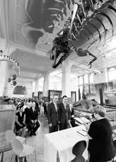 Science themed wedding_HBA Photography066