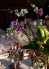 Science themed wedding_HBA Photography208