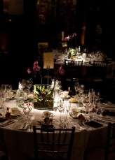 Science themed wedding_HBA Photography212